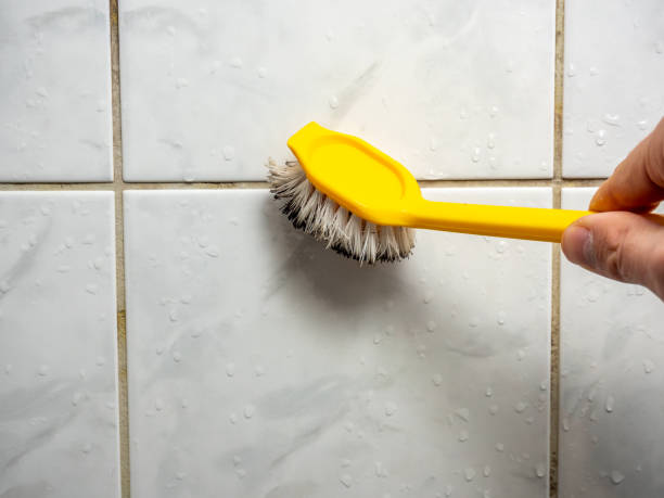 Best Mold Damage Repair  in West Lawn, PA