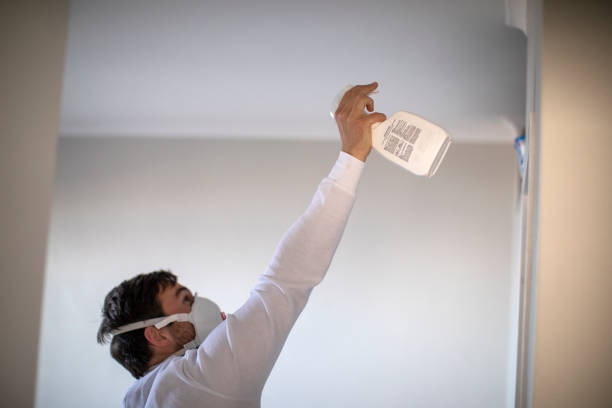 West Lawn, PA Mold Removal Company