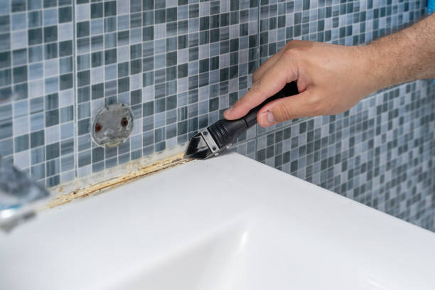 Best Mold Testing  in West Lawn, PA
